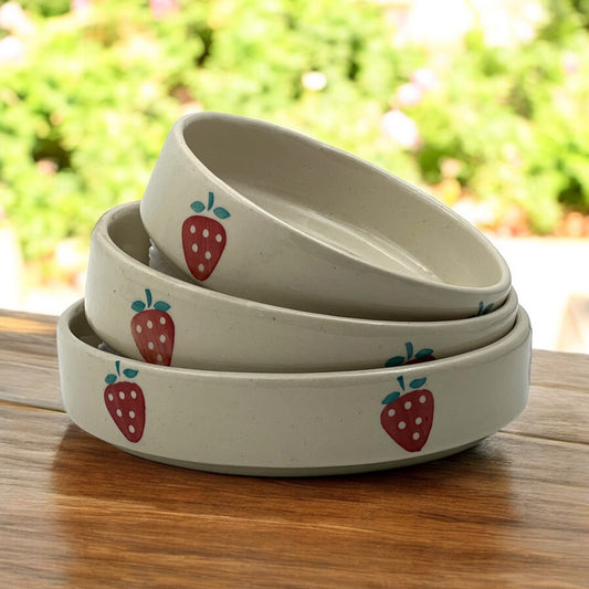 Red Strawberry Salad Snack Tray Set