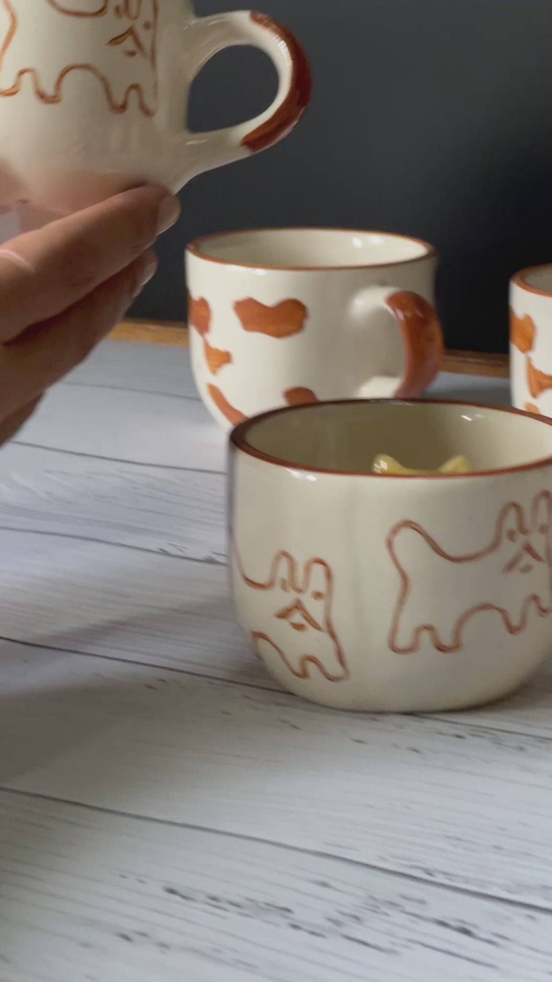 Cat mug video