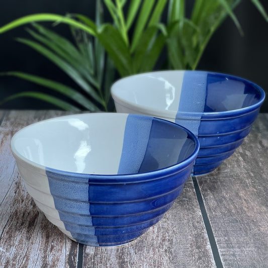 Big Blue White Set of 2 Serving Bowls